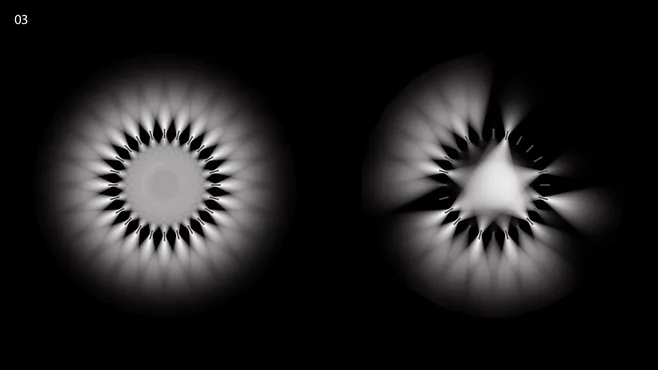 Organic data-visualization studies